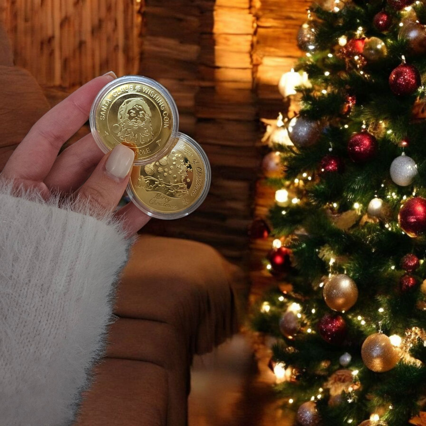 Santa Wishing Coin