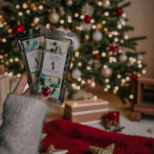 Frosted Eucalyptus Wax Melt Snap Bar - 50G