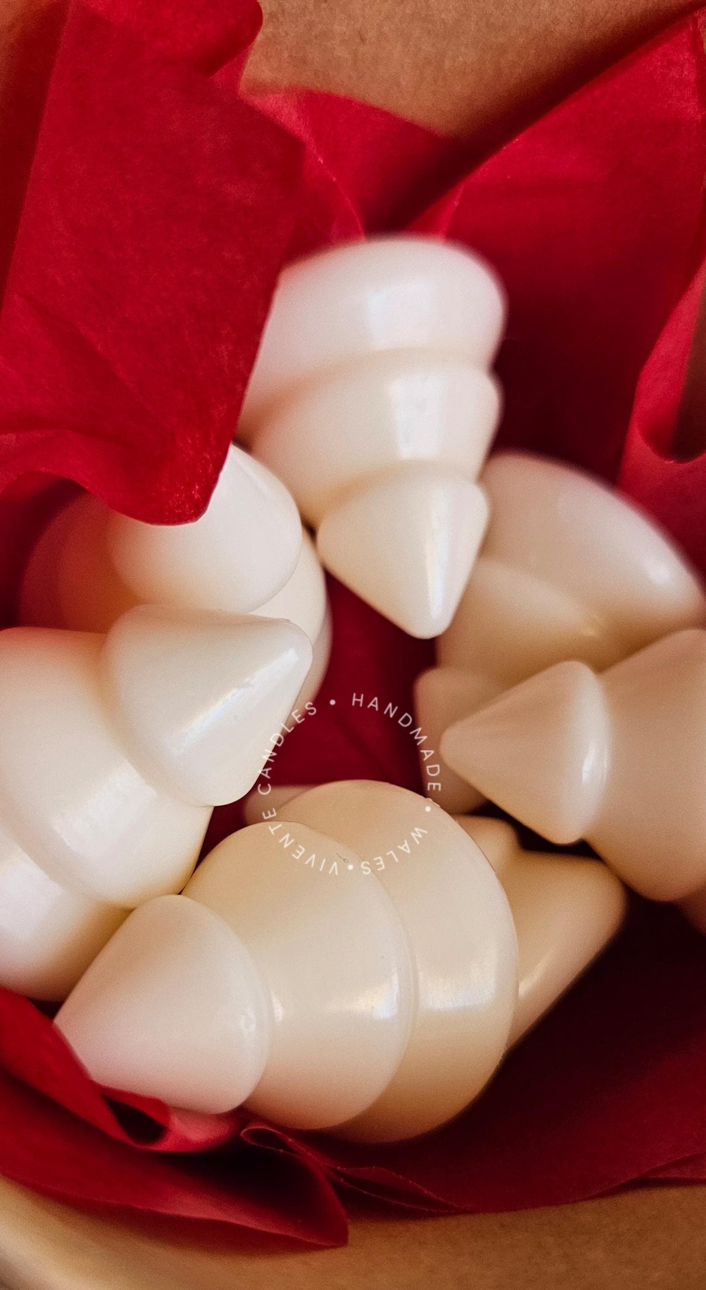 Christmas Tree Scented and Shaped Wax Melts